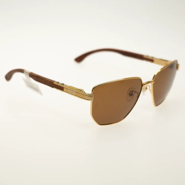 عینک آفتابی Cartier - تصویر 3
